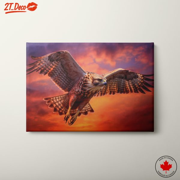 Majestic Hawk in Flight Against a Vibrant Sky