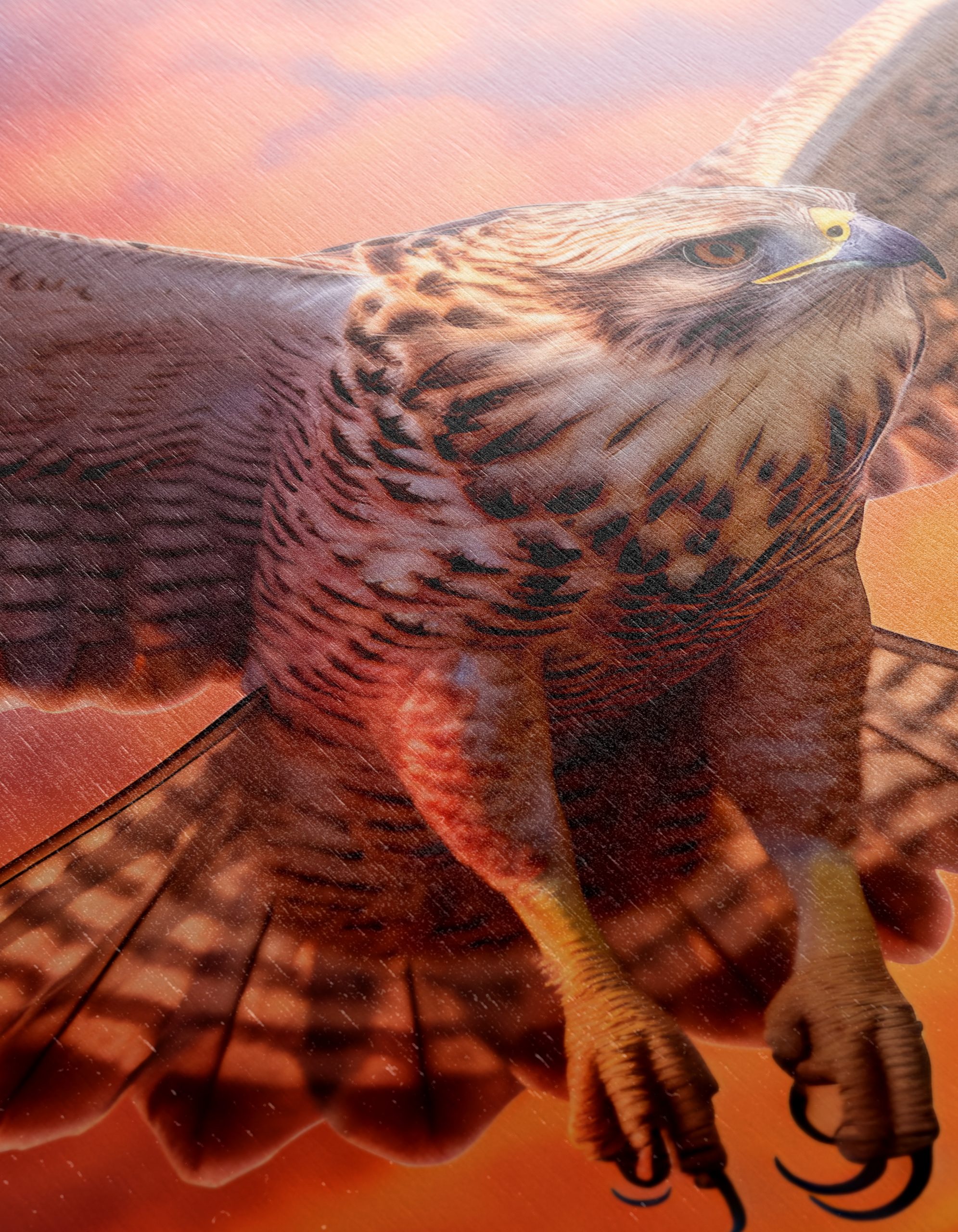 Majestic Hawk in Flight Against a Vibrant Sky - Image 12