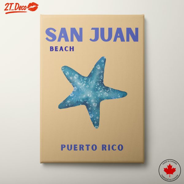 San Juan Beach Starfish Art