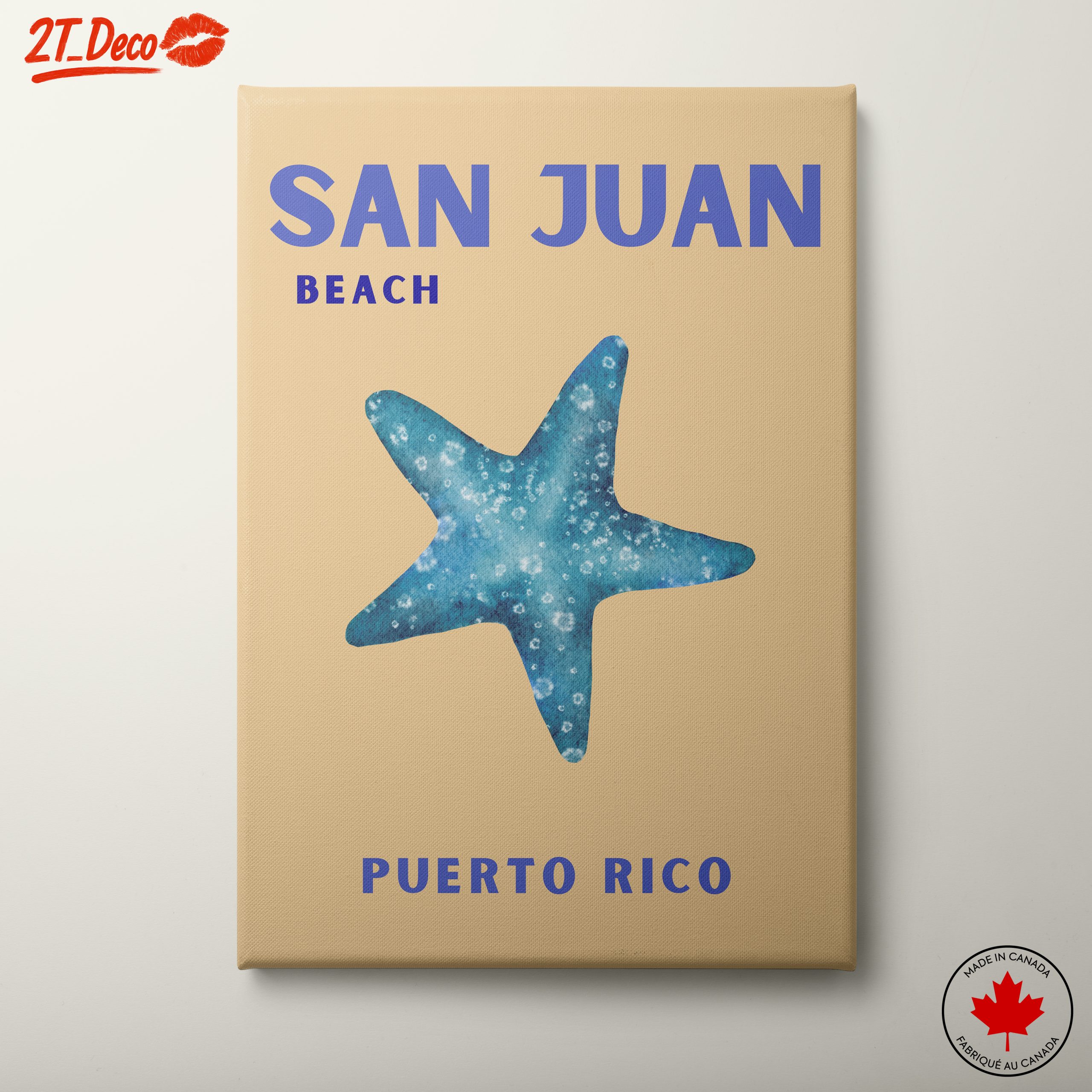 San Juan Beach Starfish Art