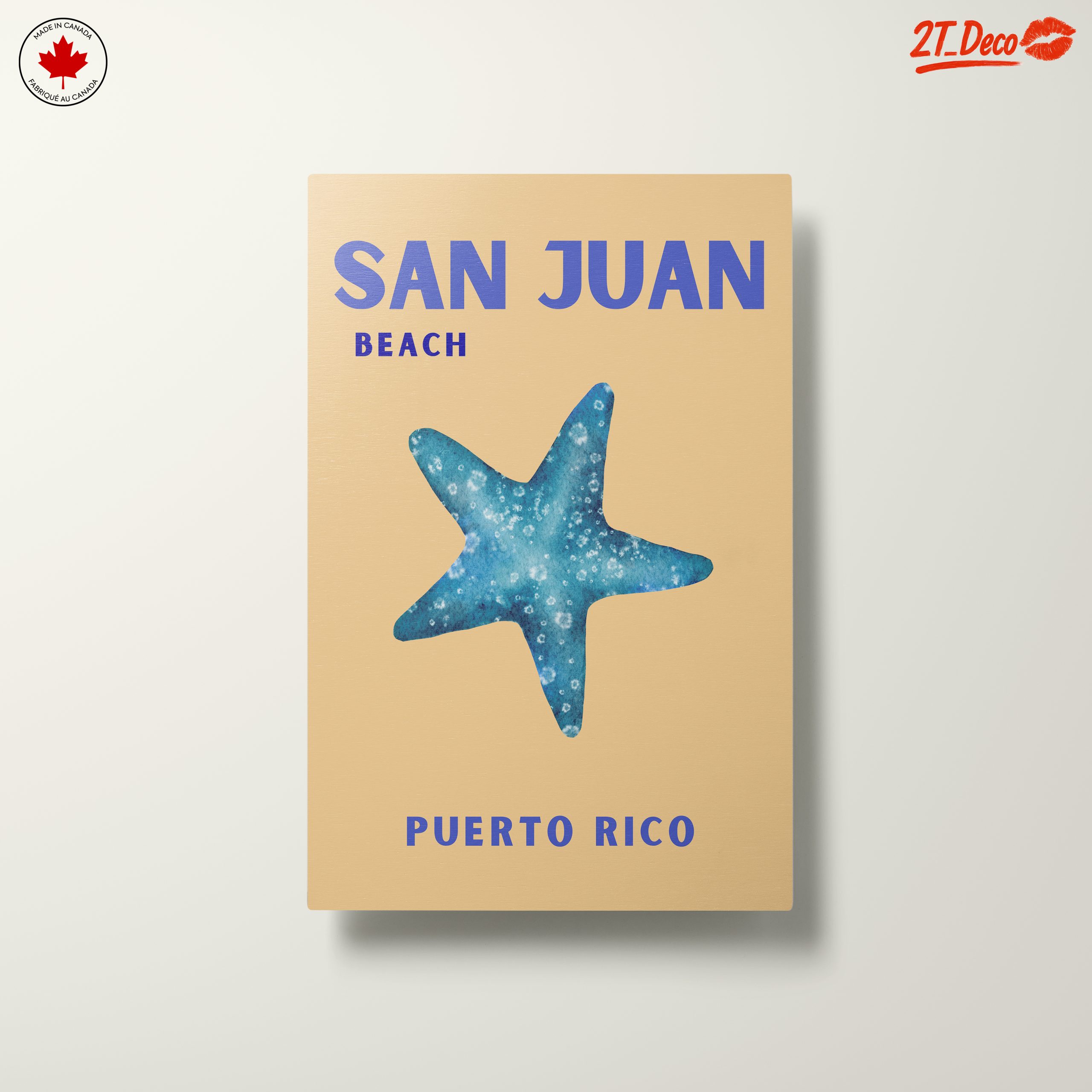 San Juan Beach Starfish Art - Image 10