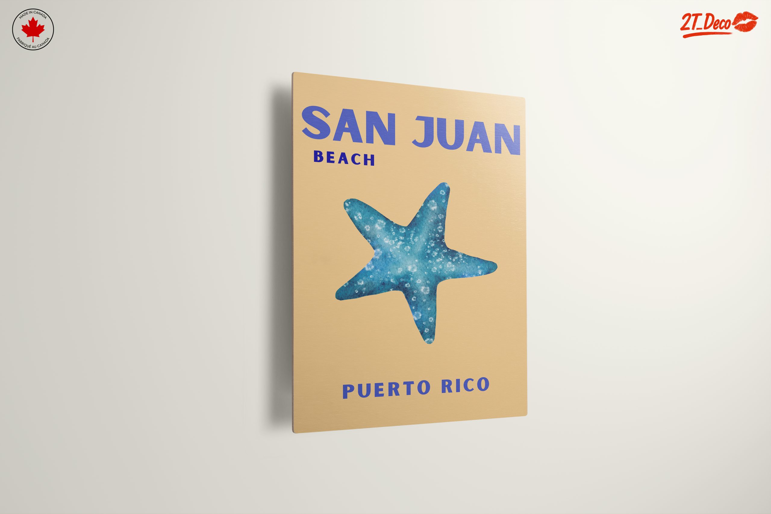 San Juan Beach Starfish Art - Image 13