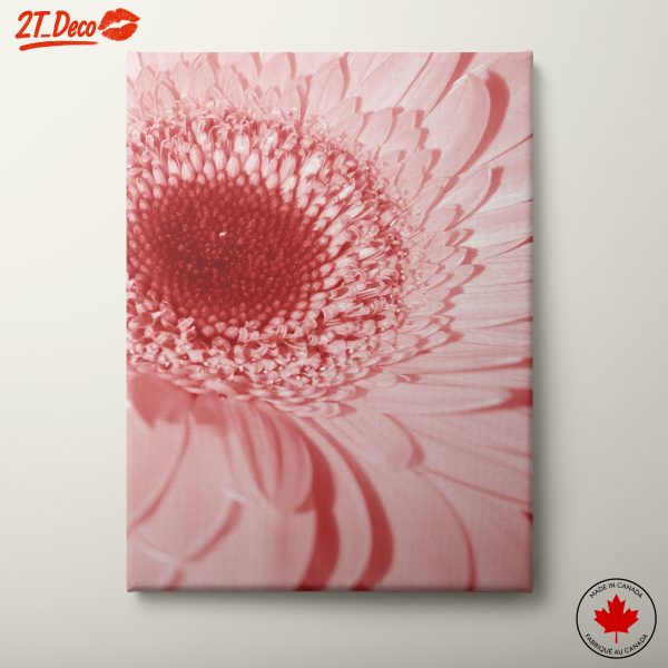 Delicate Pink Botanical Flower Art