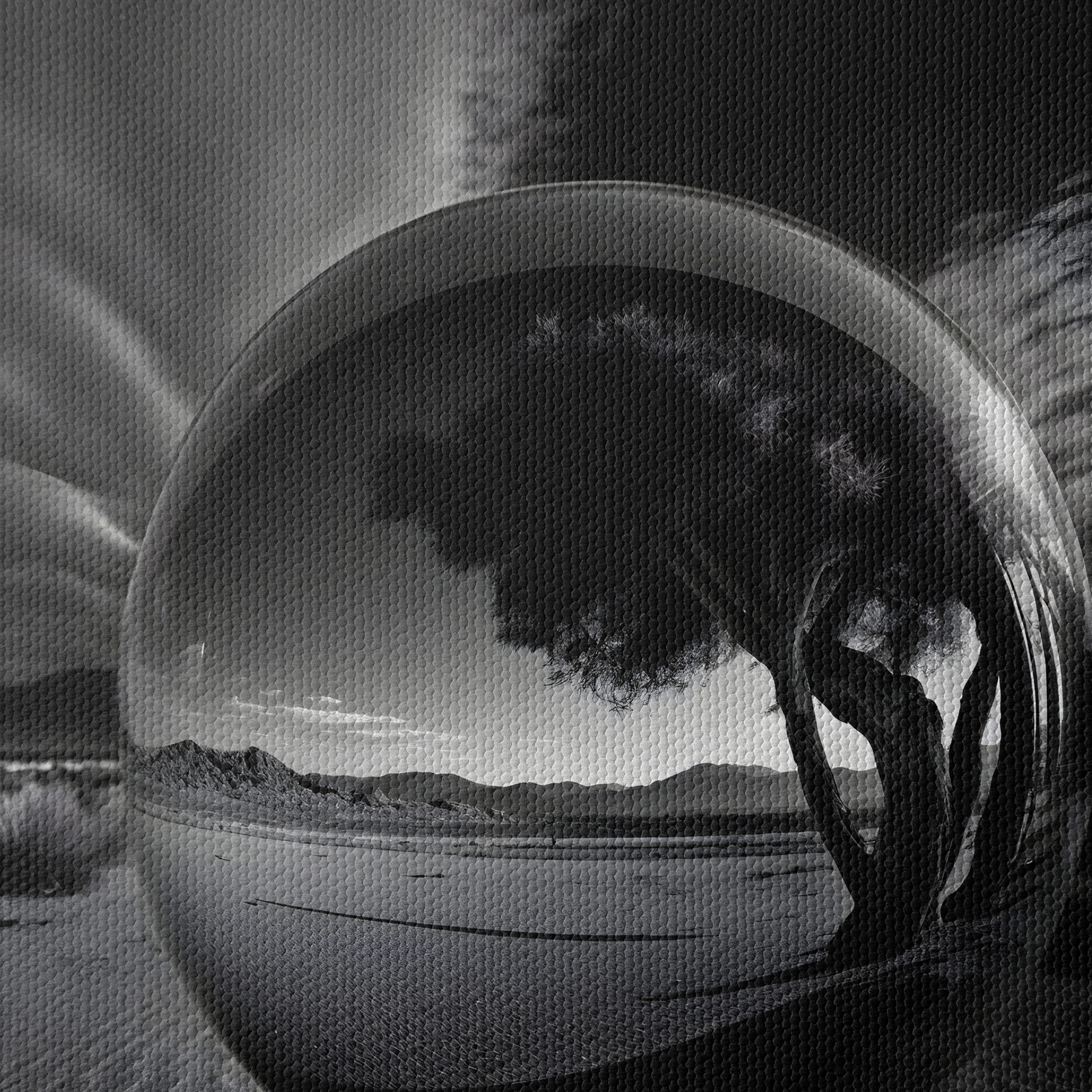 Reflective Landscape with Tree - Image 4