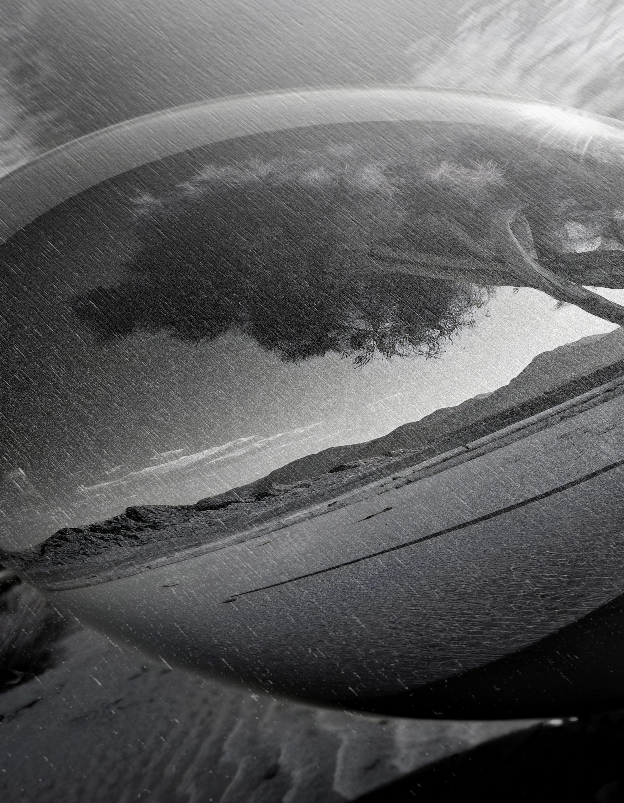 Reflective Landscape with Tree - Image 12