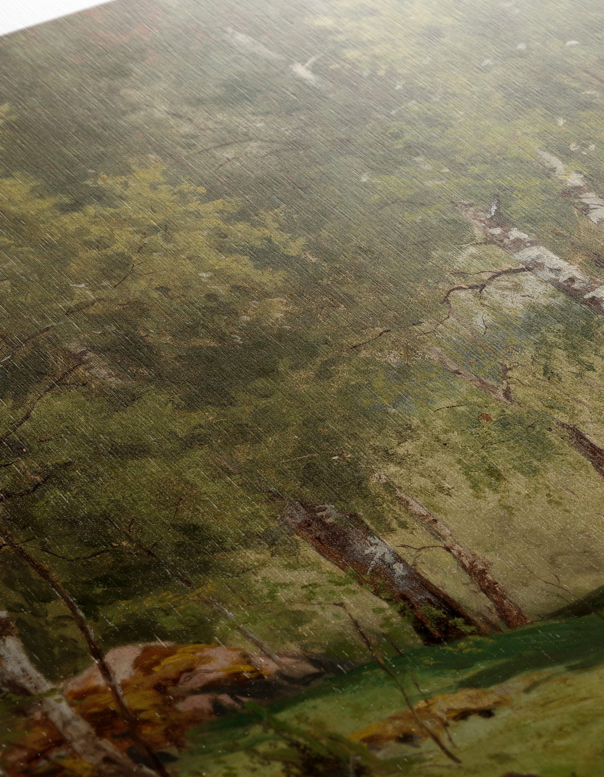Serene Birch Forest Landscape Art - Image 12