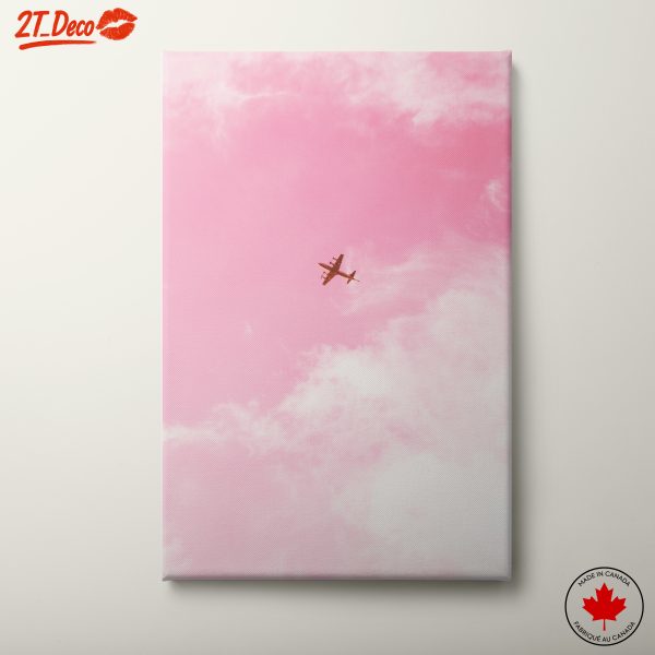 Airplane Flying Through Pink Sky
