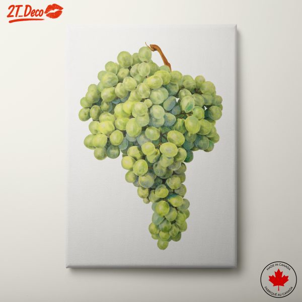 Artistic Representation of Grapes