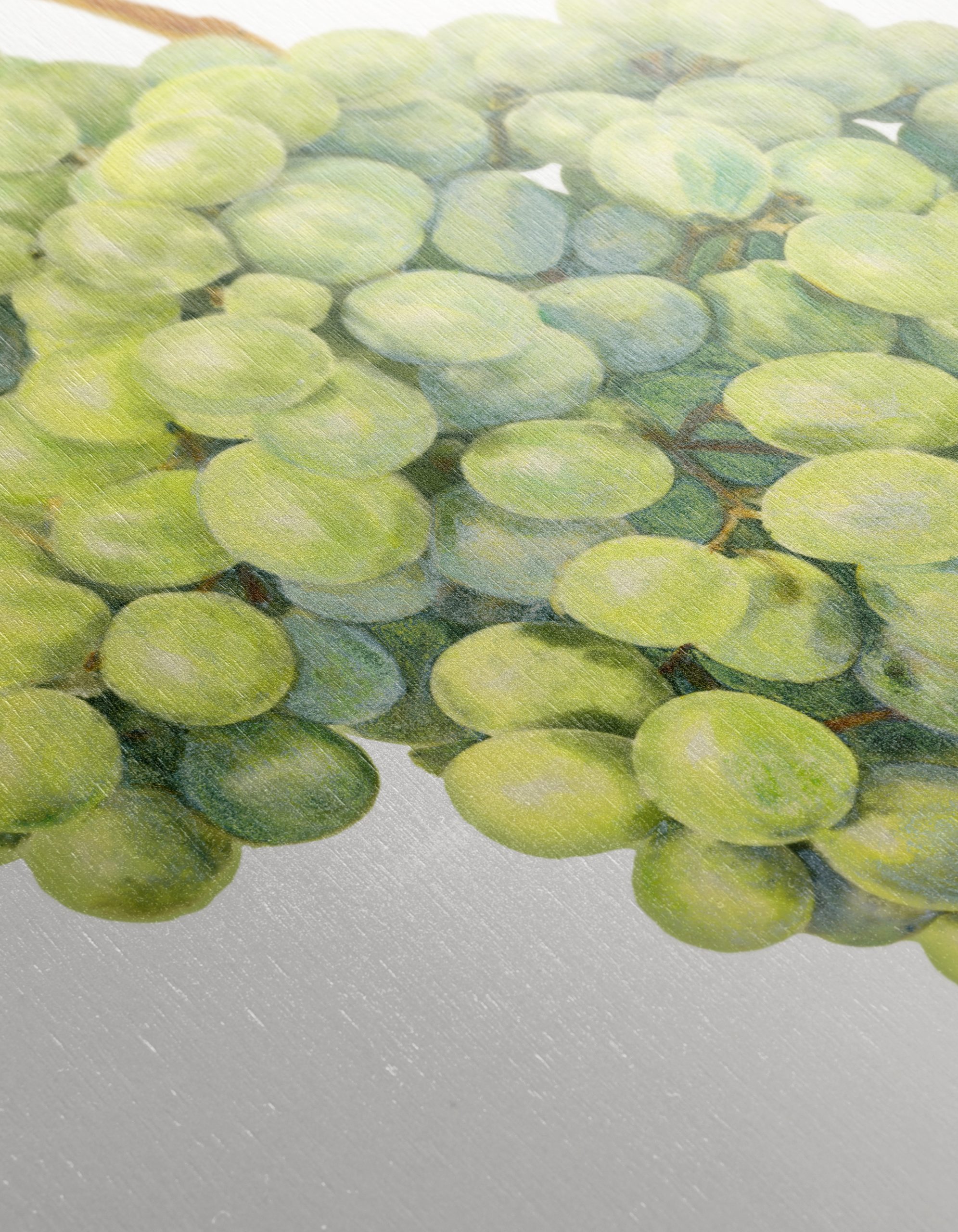 Artistic Representation of Grapes - Image 12