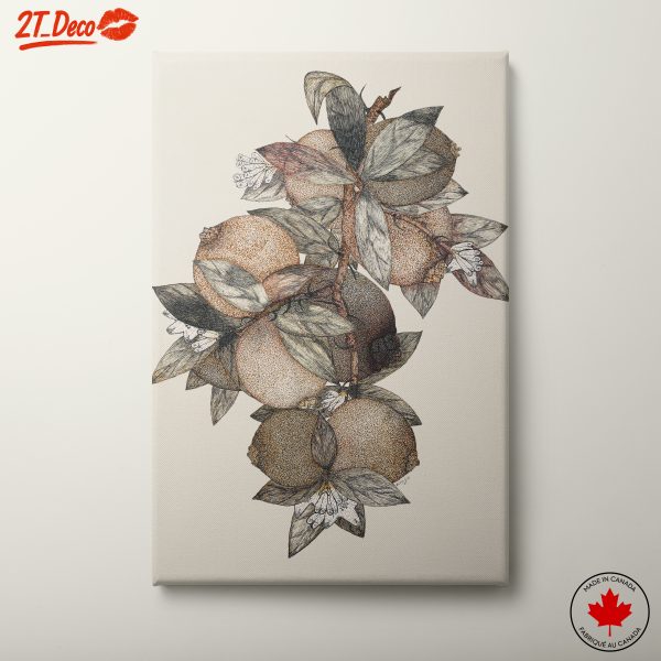 Detailed Botanical Illustration of Fruits