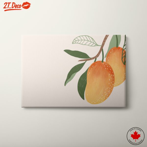 Mango Botanical Illustration
