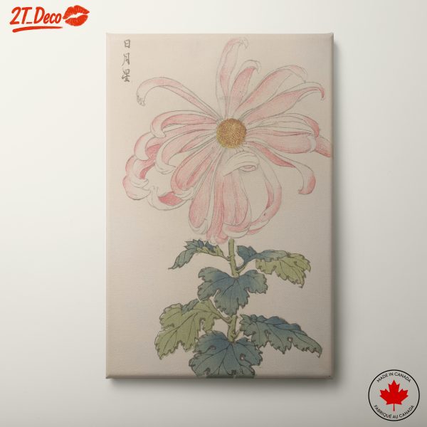Elegant Botanical Flower Illustration
