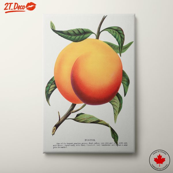 Stylized Peach Artwork with Vibrant Colors