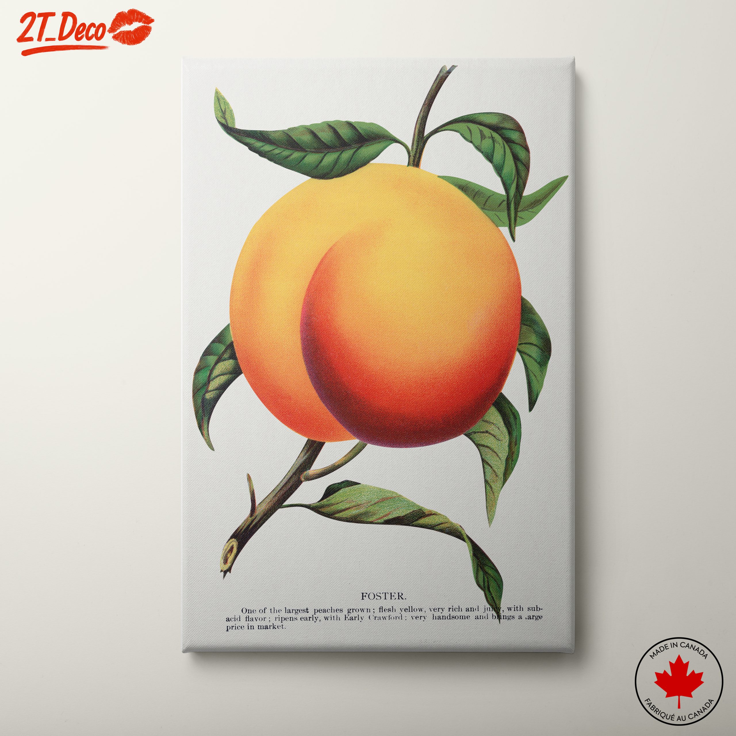 Stylized Peach Artwork with Vibrant Colors
