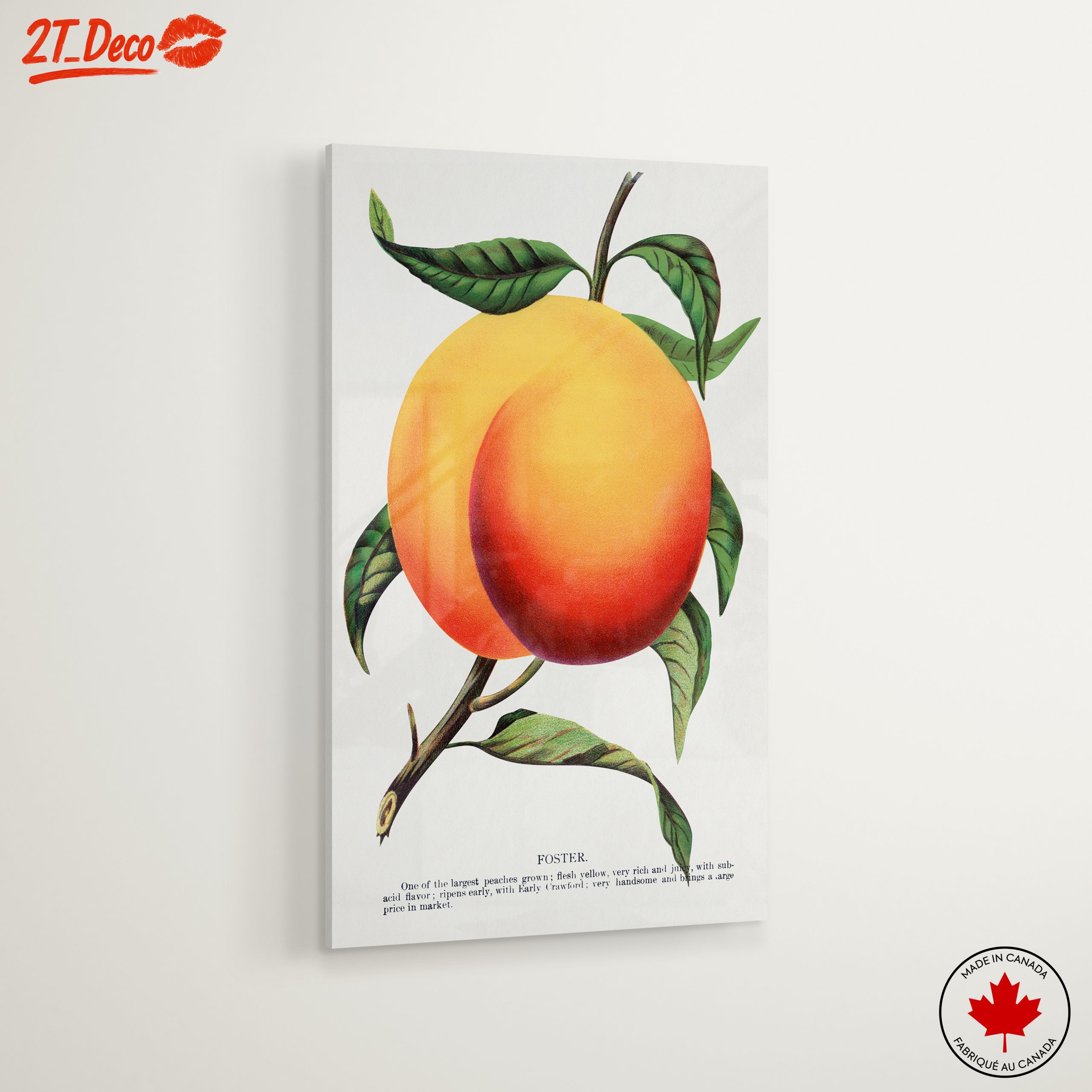 Stylized Peach Artwork with Vibrant Colors - Image 6