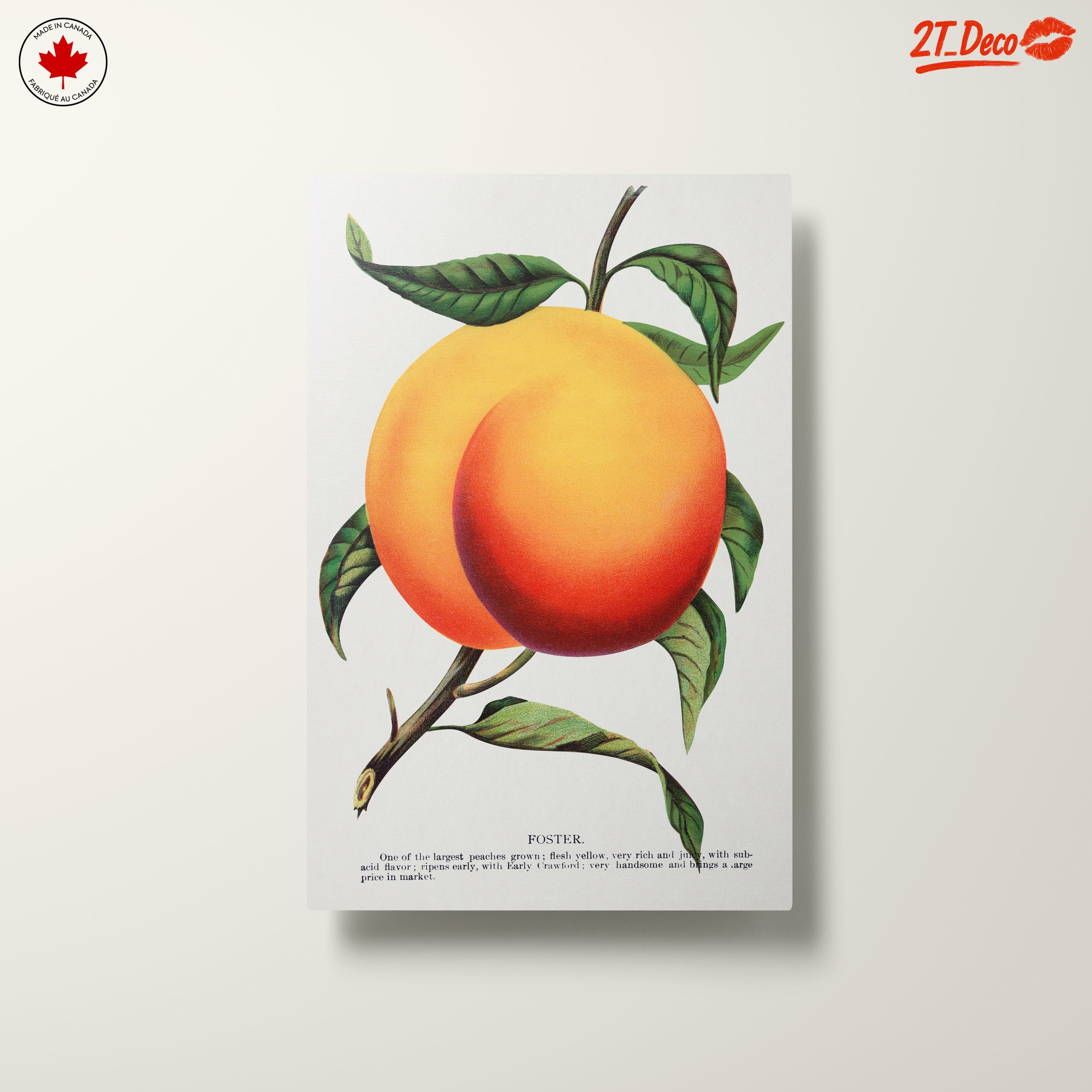 Stylized Peach Artwork with Vibrant Colors - Image 10