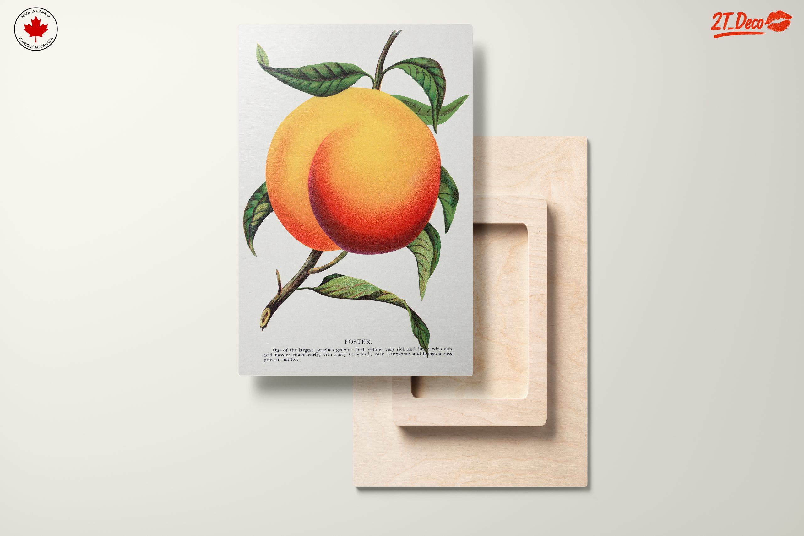 Stylized Peach Artwork with Vibrant Colors - Image 11