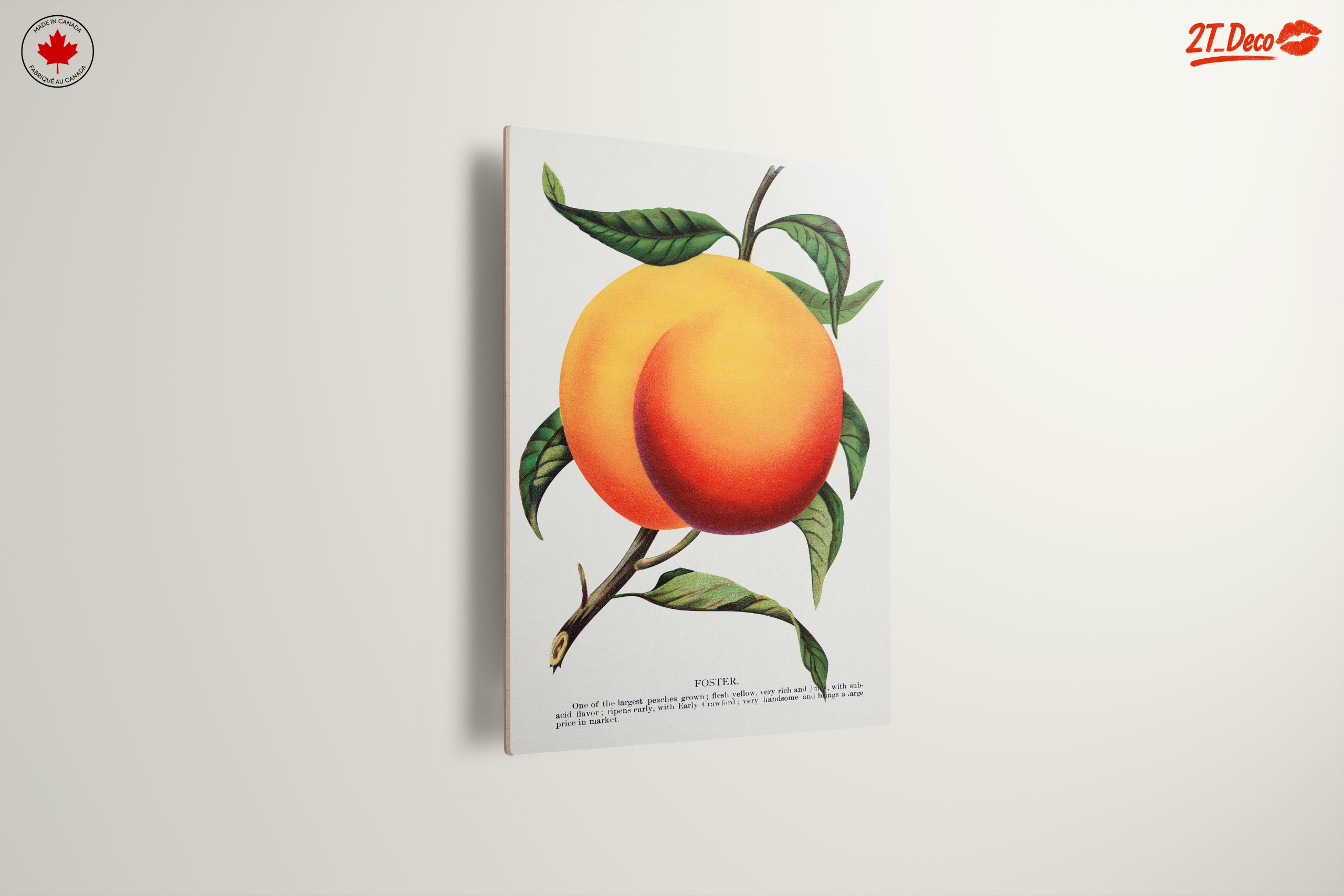 Stylized Peach Artwork with Vibrant Colors - Image 13