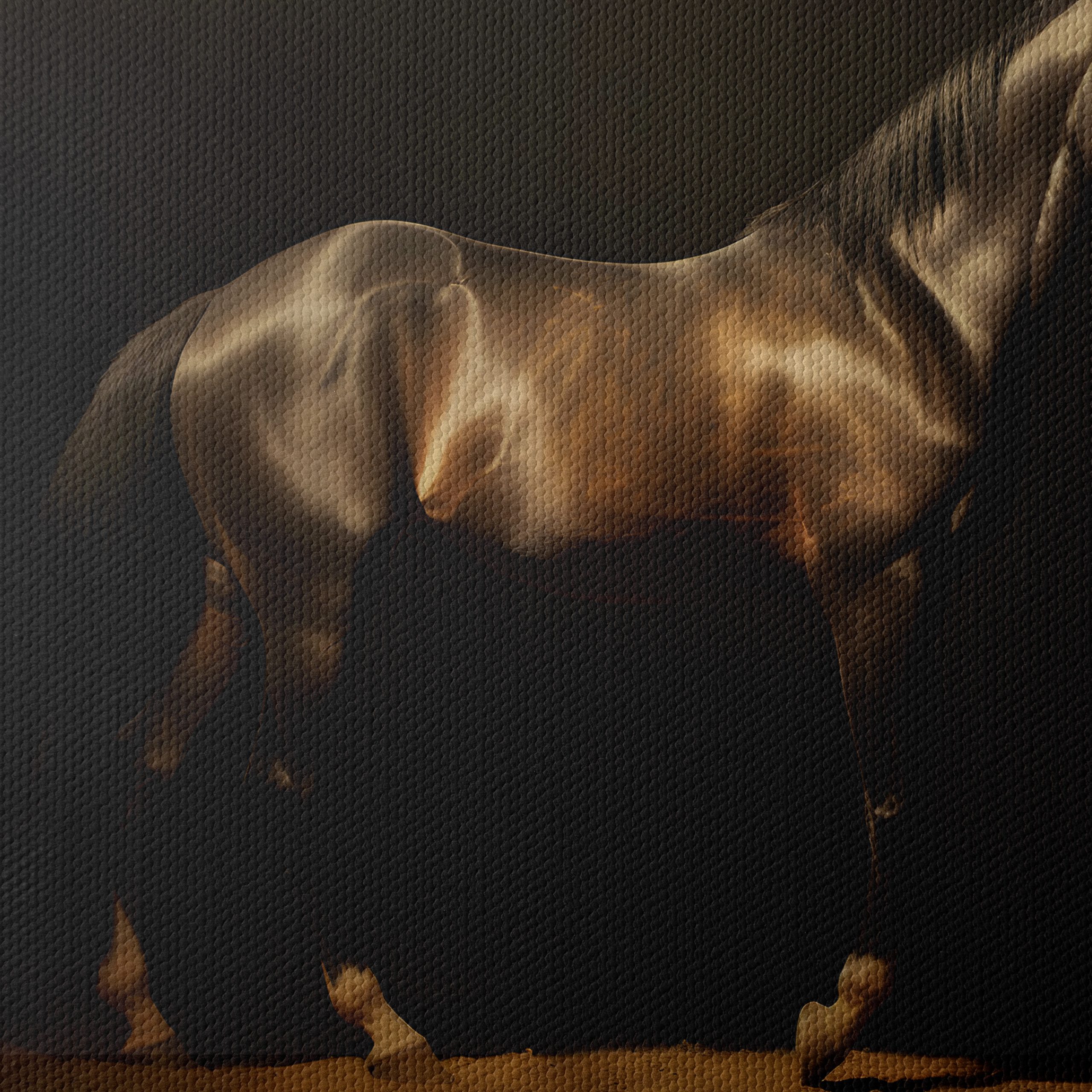Majestic Horse in Elegant Lighting Art - Image 4