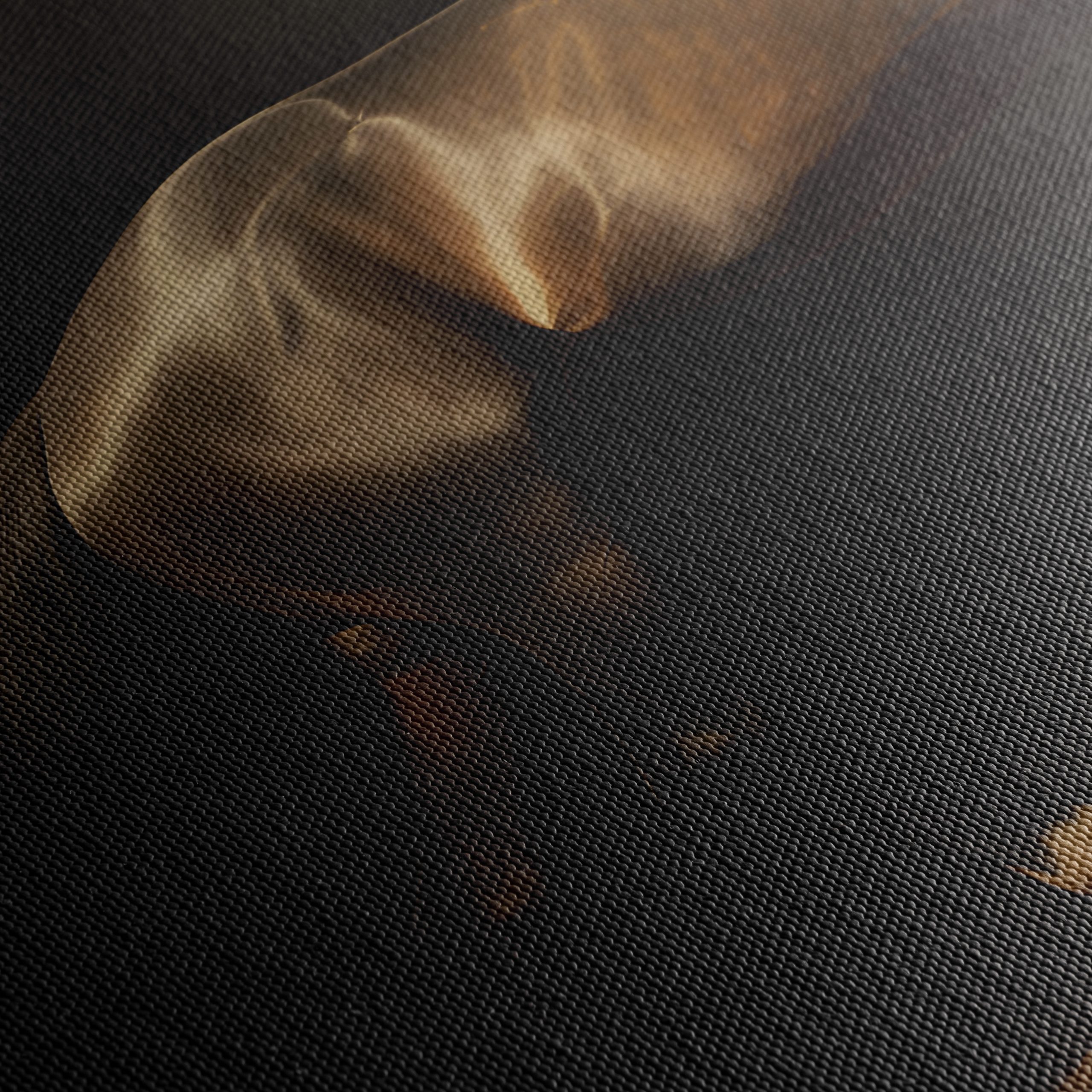 Majestic Horse in Elegant Lighting Art - Image 5