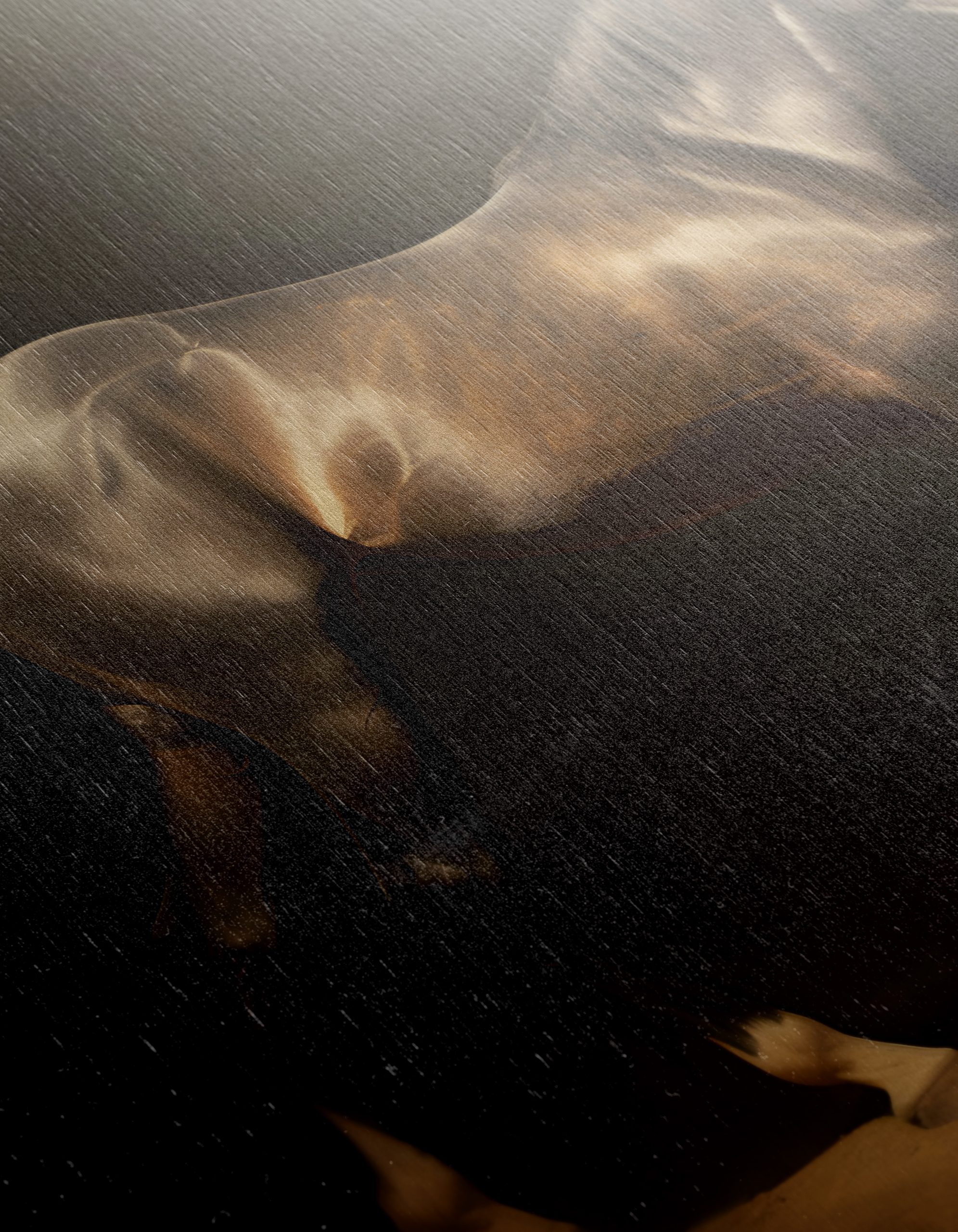 Majestic Horse in Elegant Lighting Art - Image 12