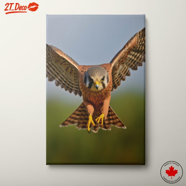 Spectacular Realistic Portrait of a Hawk