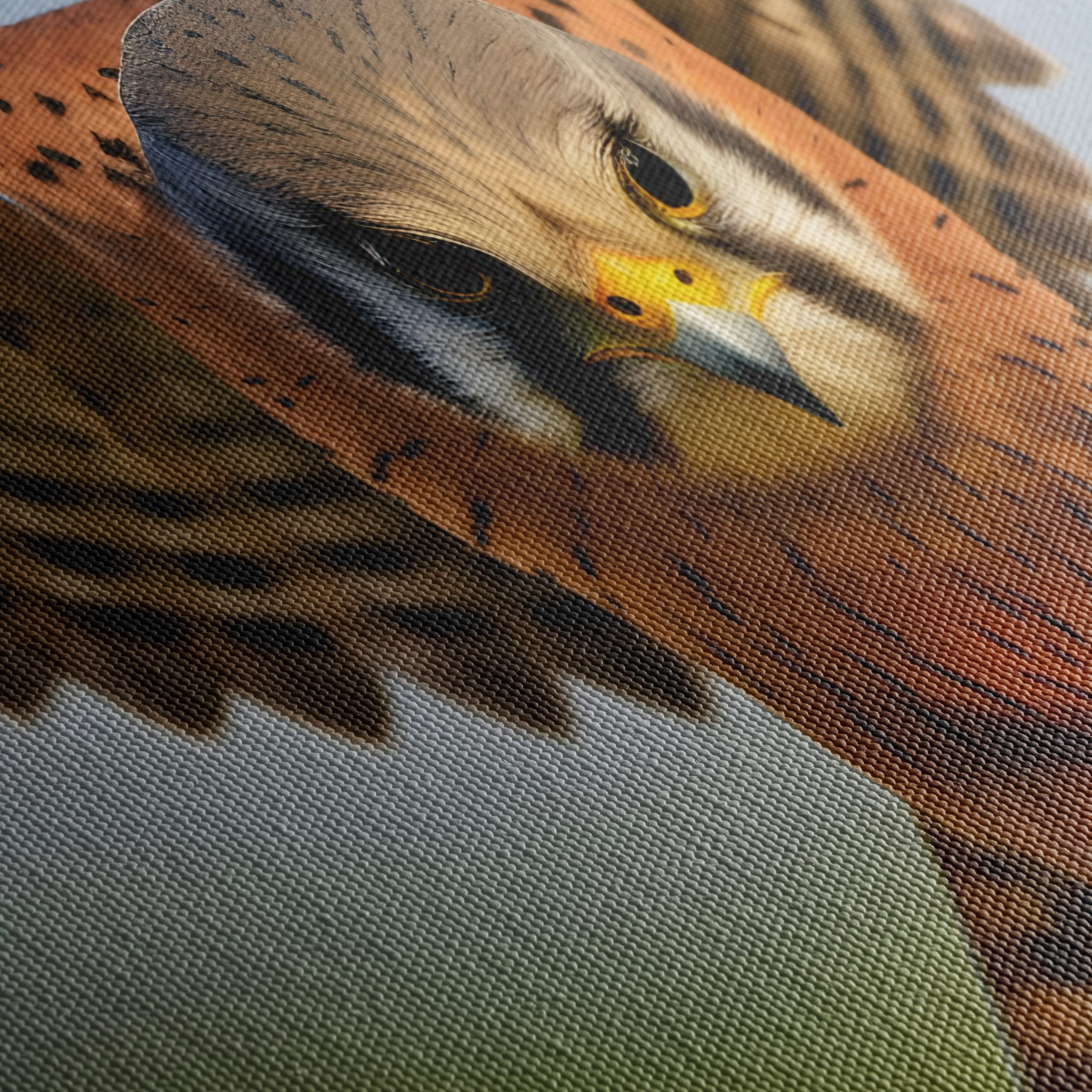 Spectacular Realistic Portrait of a Hawk - Image 5