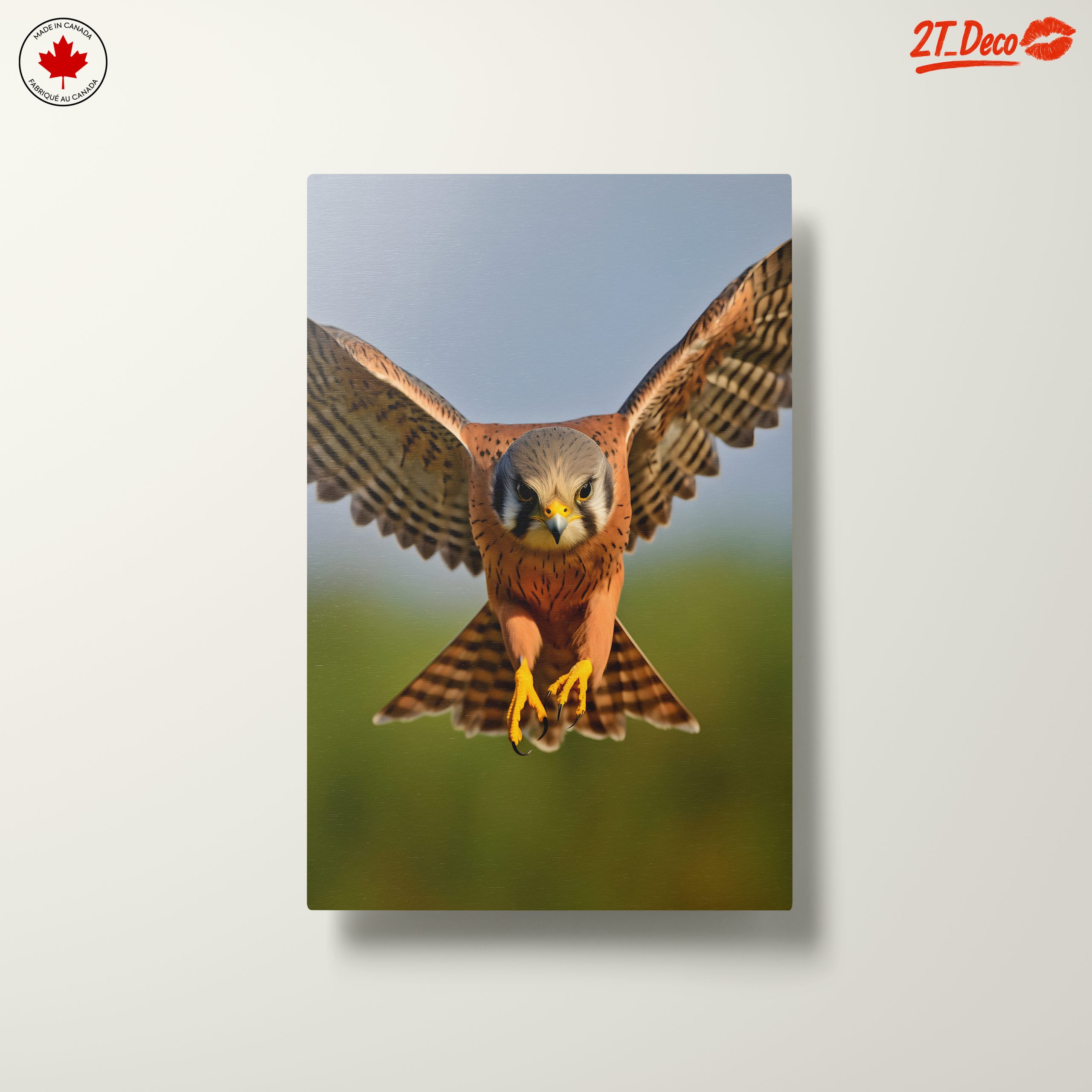 Spectacular Realistic Portrait of a Hawk - Image 10