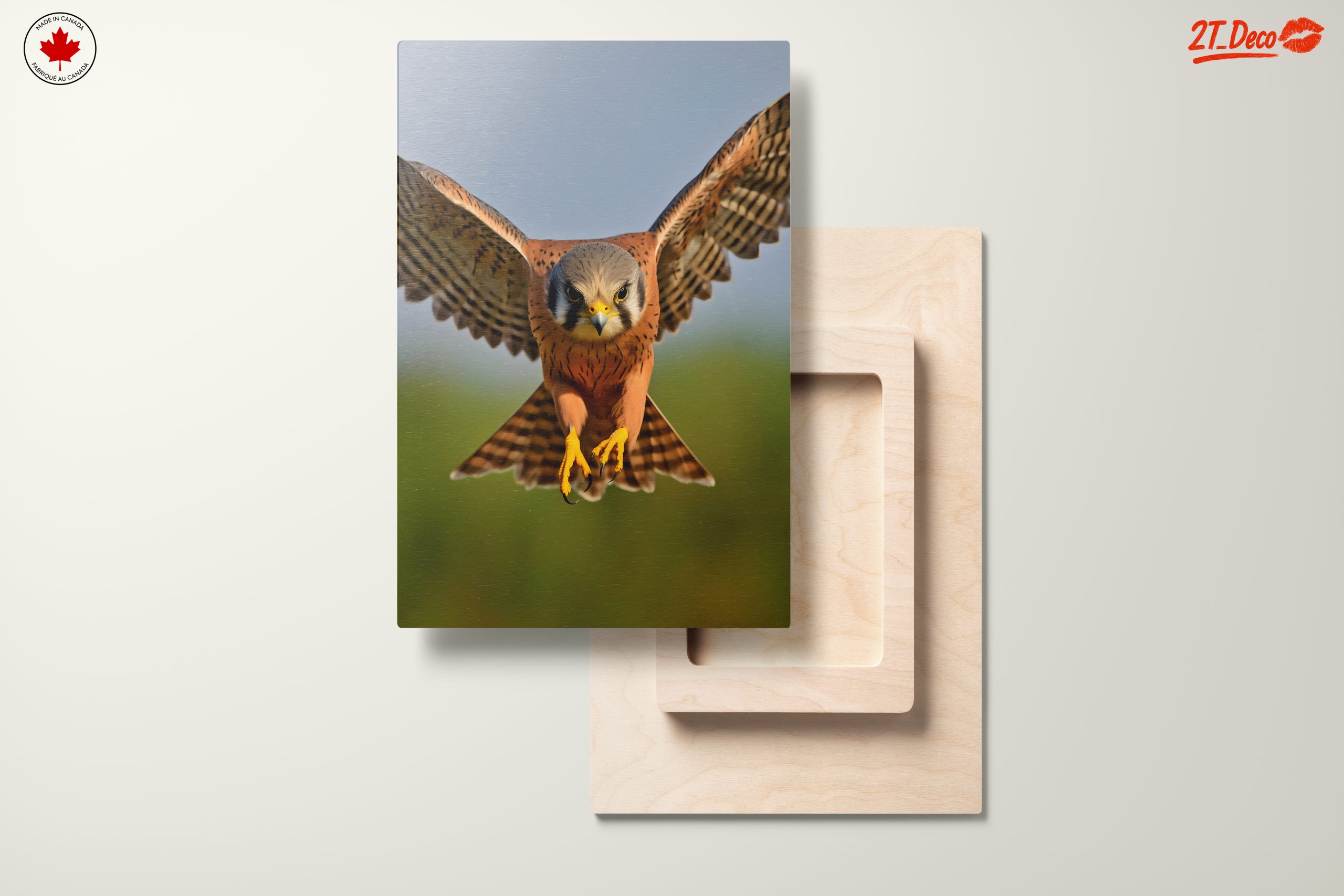 Spectacular Realistic Portrait of a Hawk - Image 11