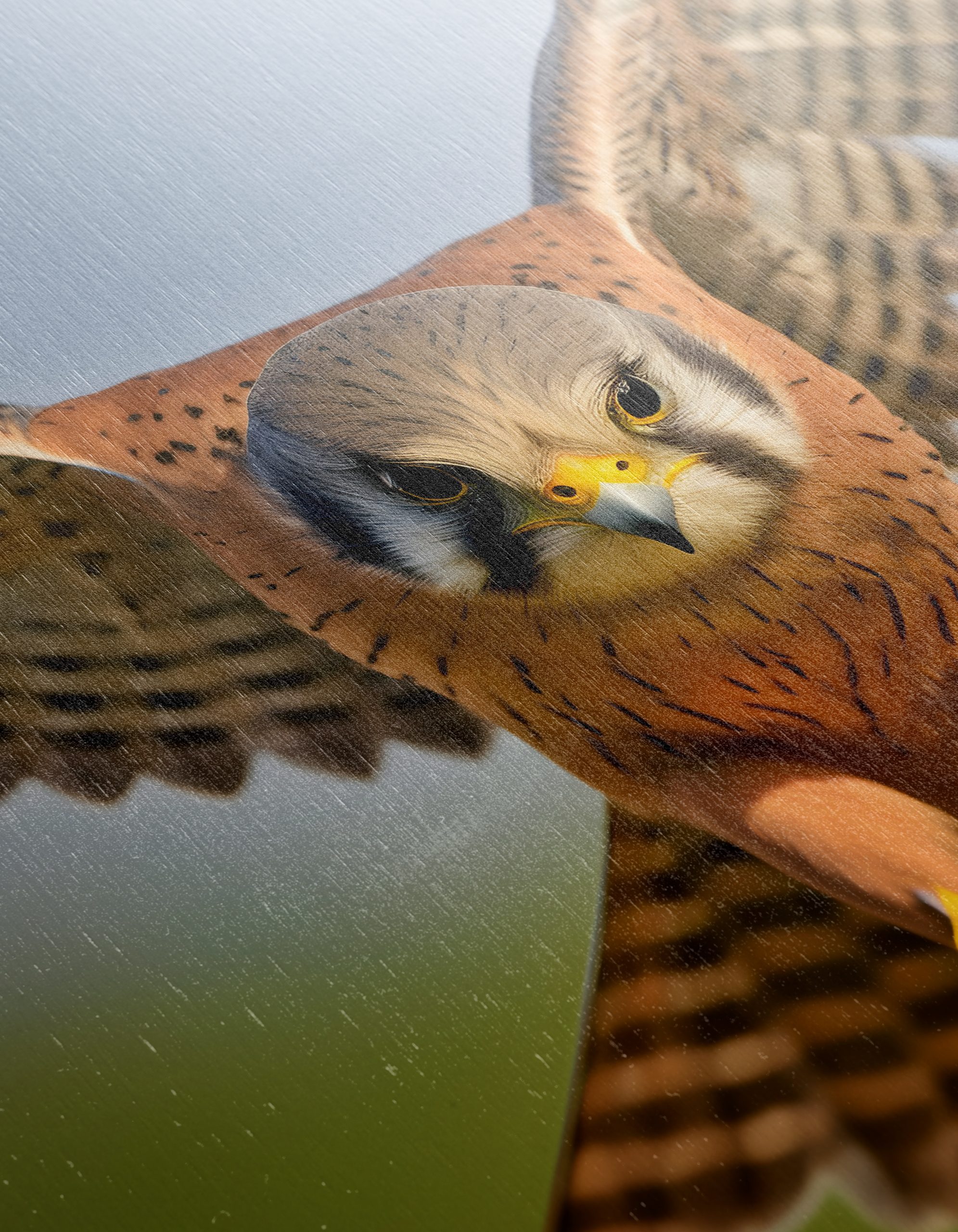 Spectacular Realistic Portrait of a Hawk - Image 12