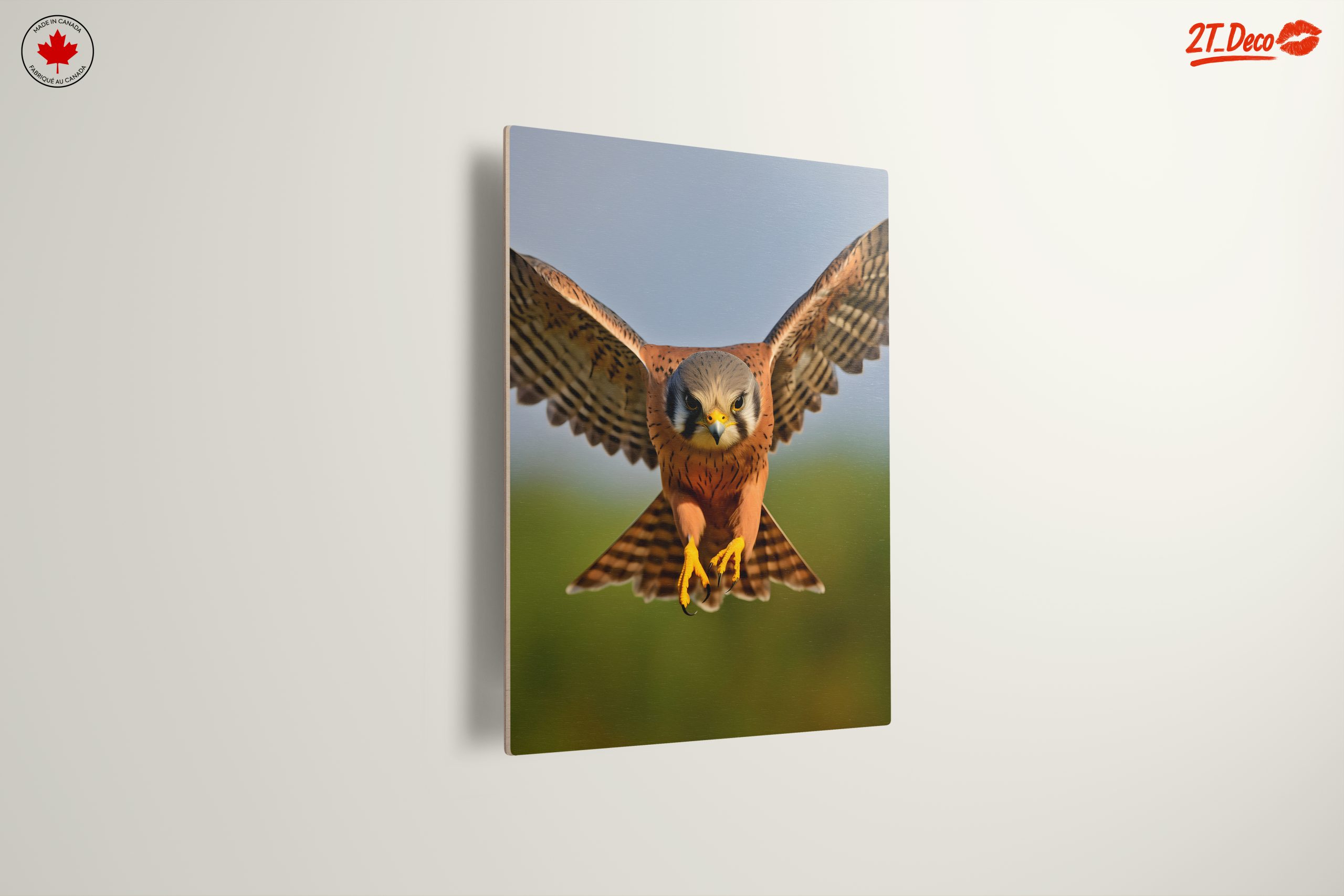 Spectacular Realistic Portrait of a Hawk - Image 13