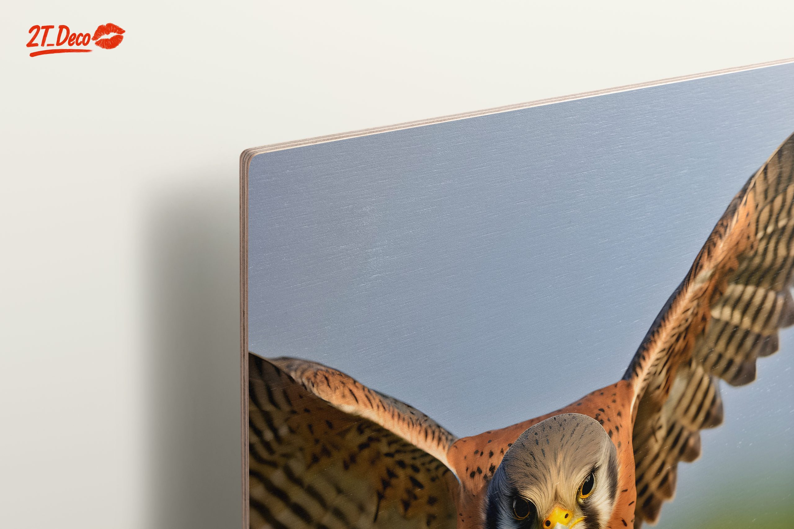 Spectacular Realistic Portrait of a Hawk - Image 15