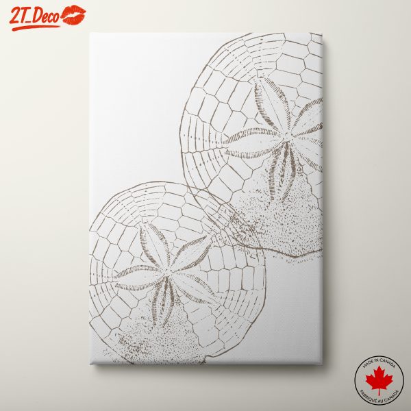 Abstract Sand Dollar Art