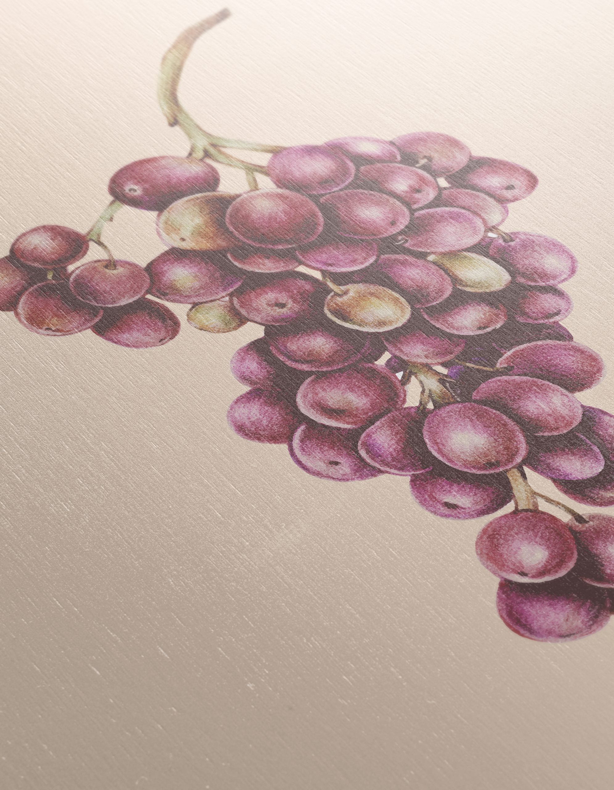 Stylized Grapes Art for Culinary Spaces - Image 12