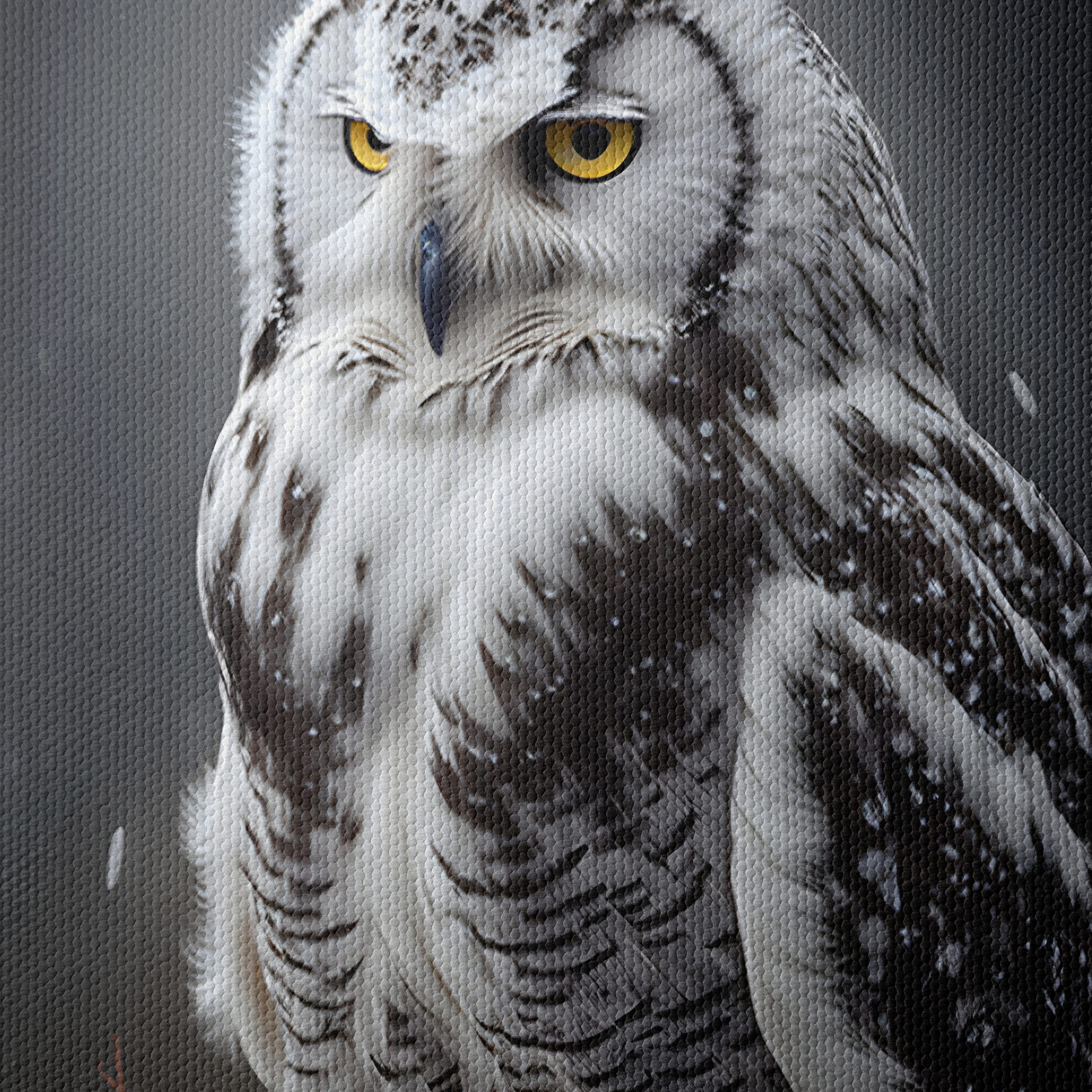 Majestic Owl Artwork in Winter Background - Image 4
