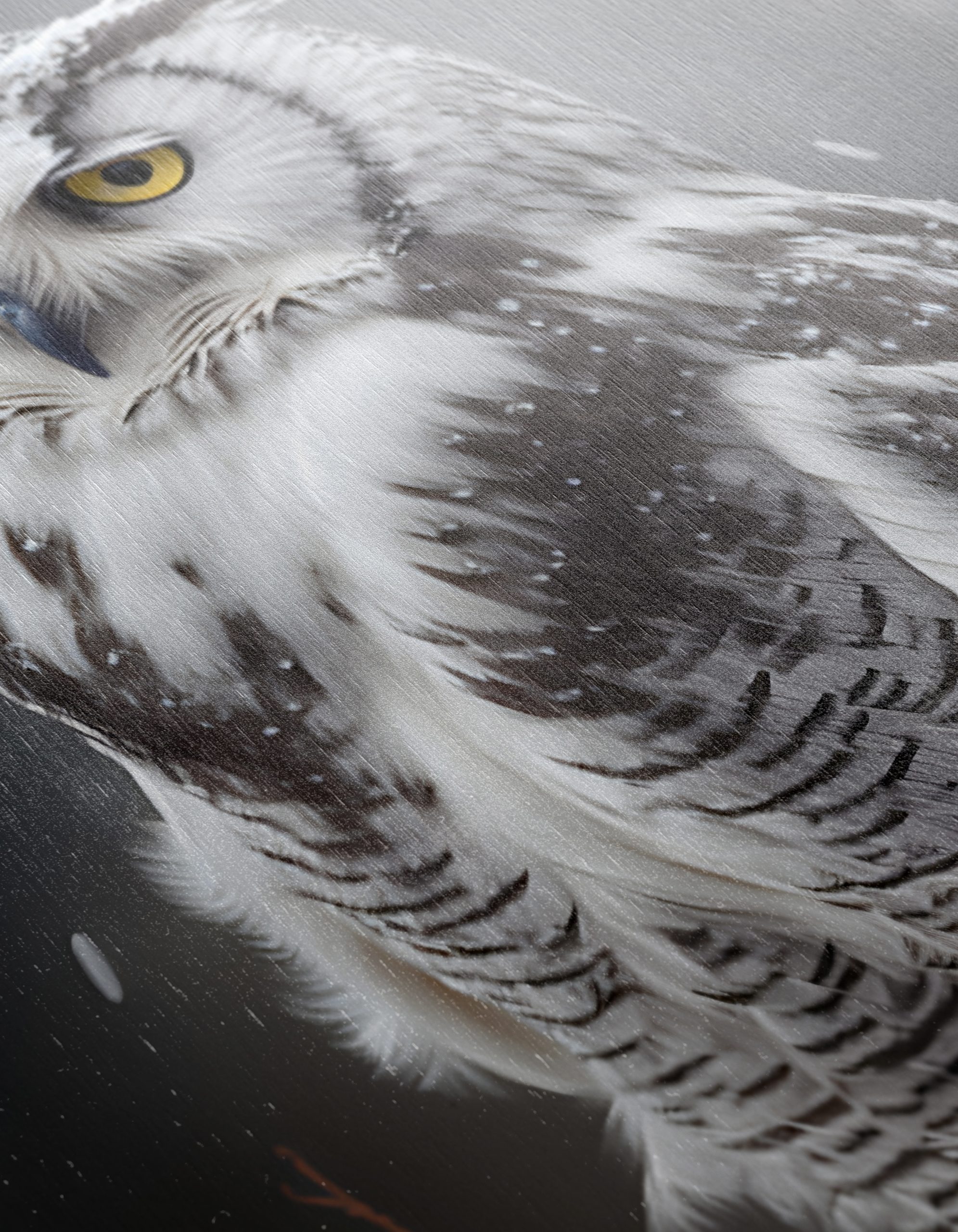 Majestic Owl Artwork in Winter Background - Image 12