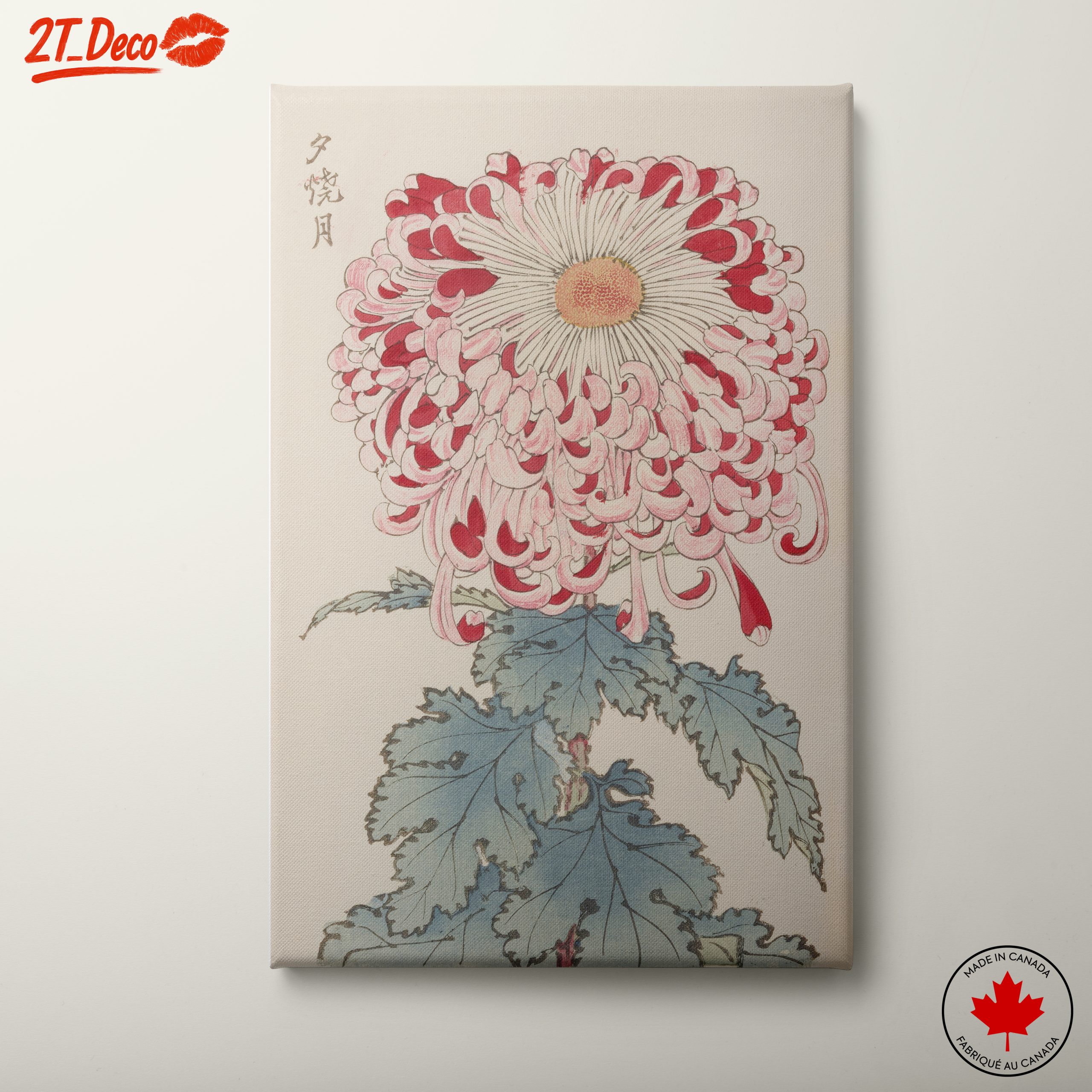 Beautiful Botanical Flower Illustration