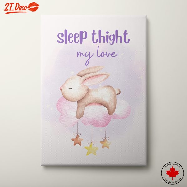 Adorable Bunny on Pink Cloud for Kids