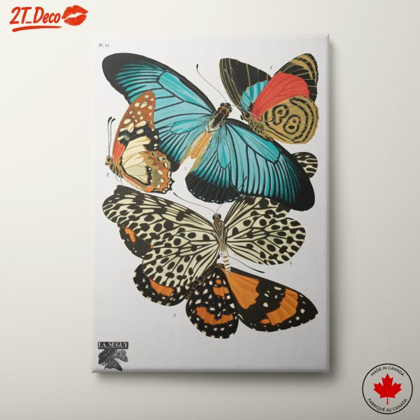 Vibrant Butterfly Artwork Display