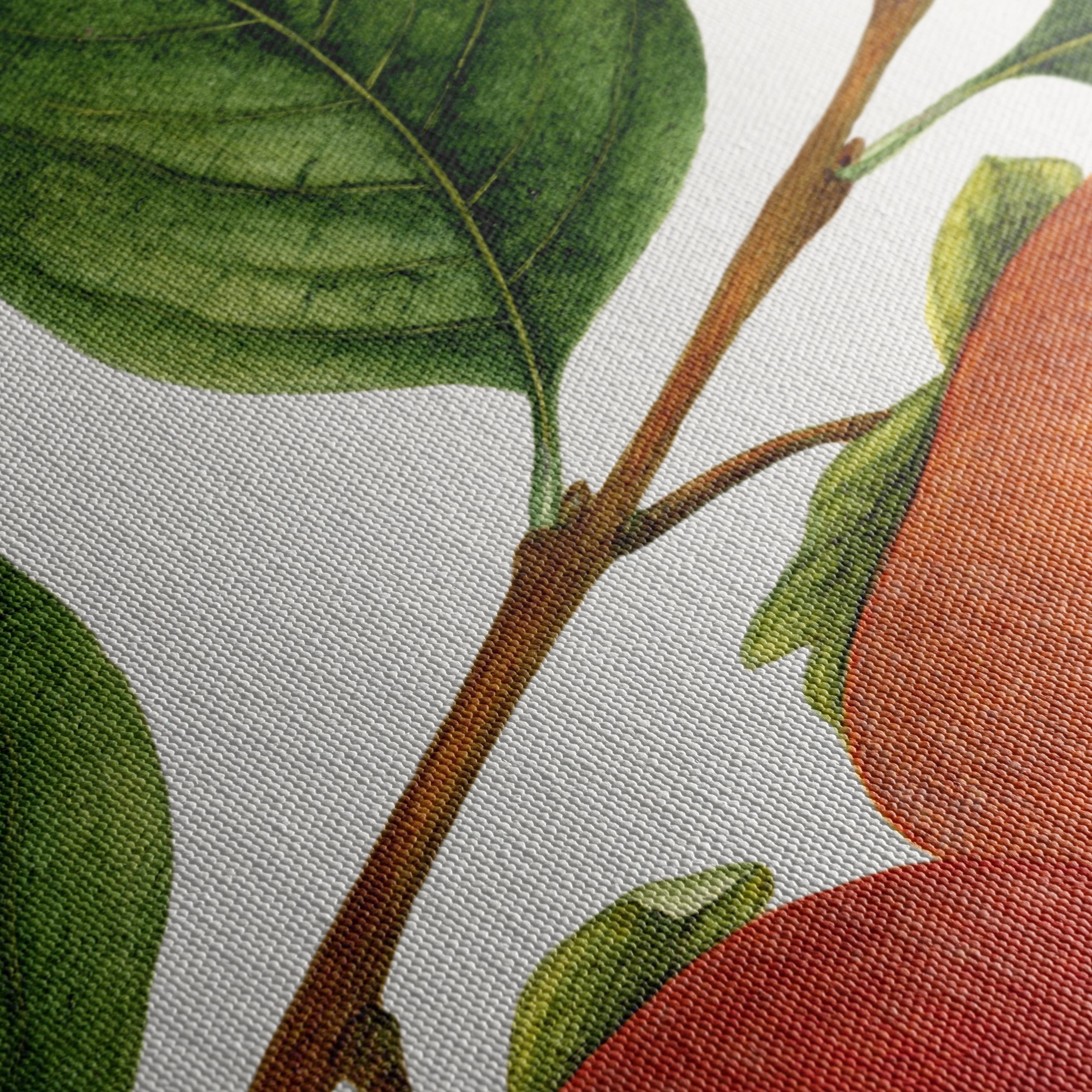 Ripe Fruits Branch with Leaves Art - Image 5