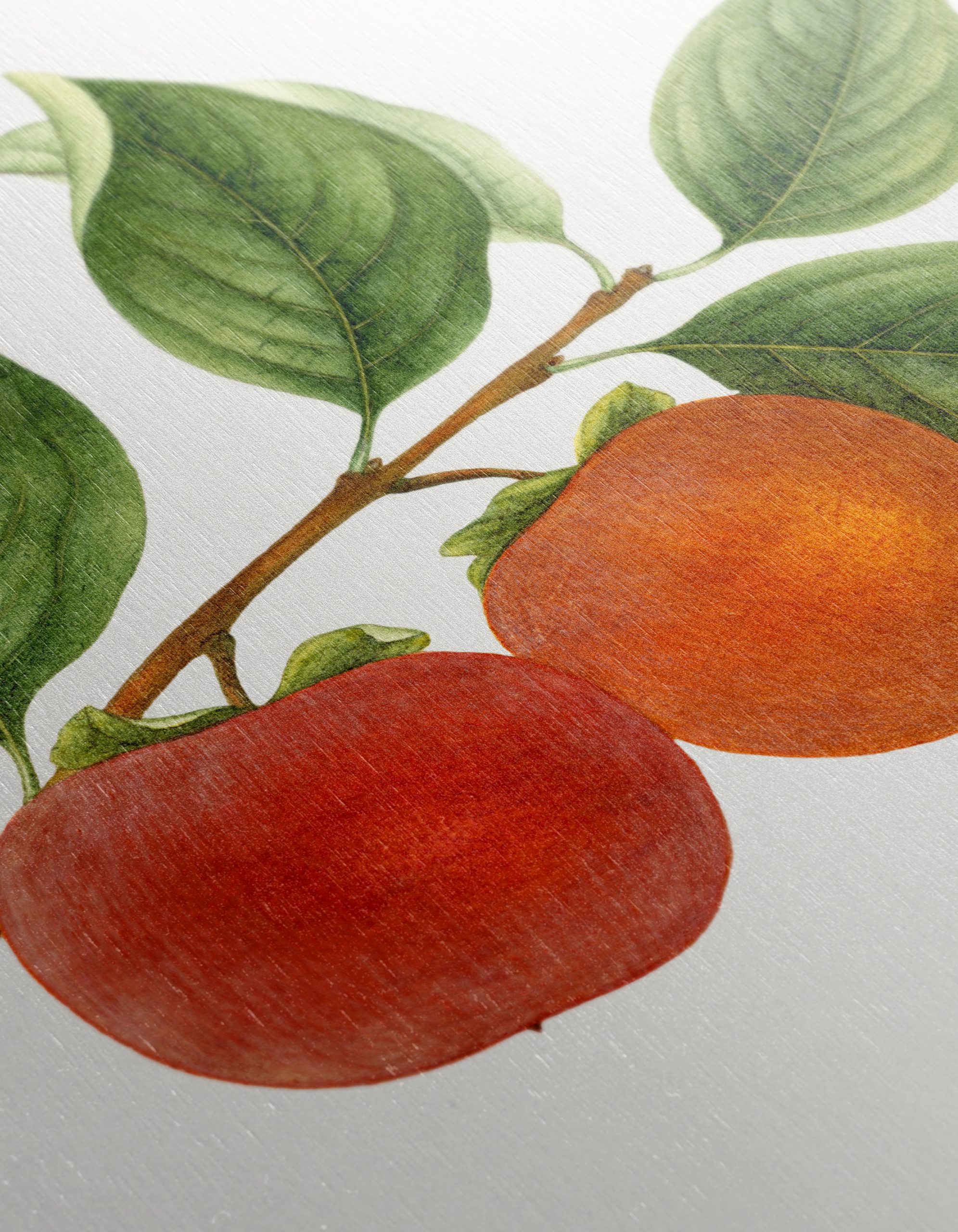Ripe Fruits Branch with Leaves Art - Image 12