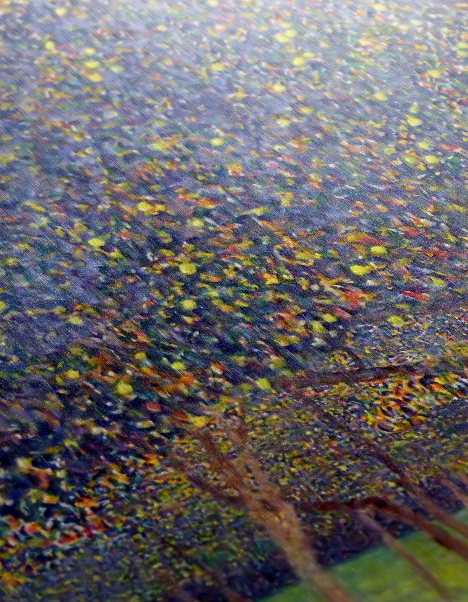 Vibrant Contemporary Landscape Art - Image 12