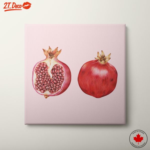 Pomegranate Illustration on Pink Background