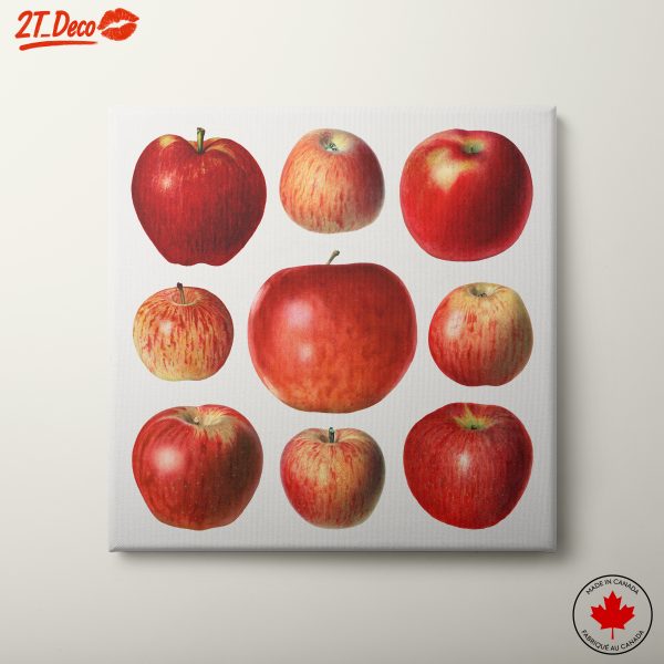 Abstract Art Featuring Diverse Apples