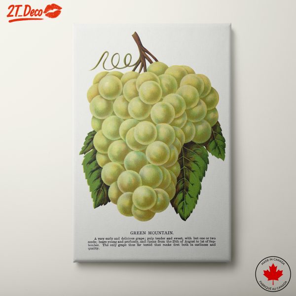 Green Grape Artwork for Kitchen Decor