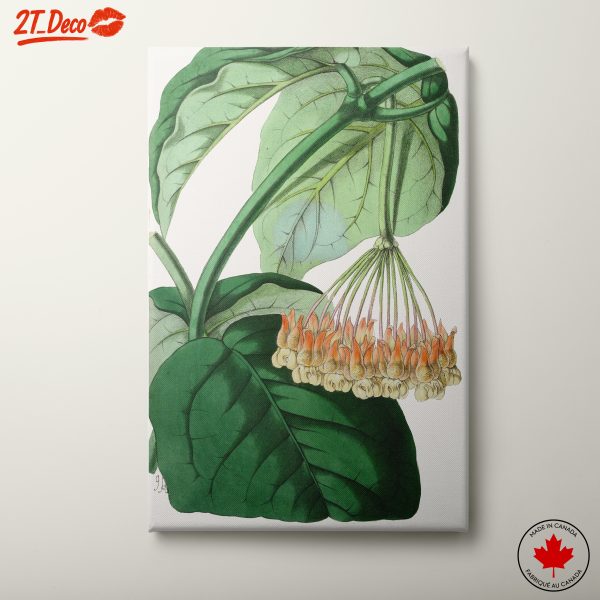 Intricate Botanical Illustration of Leaves and Flowers