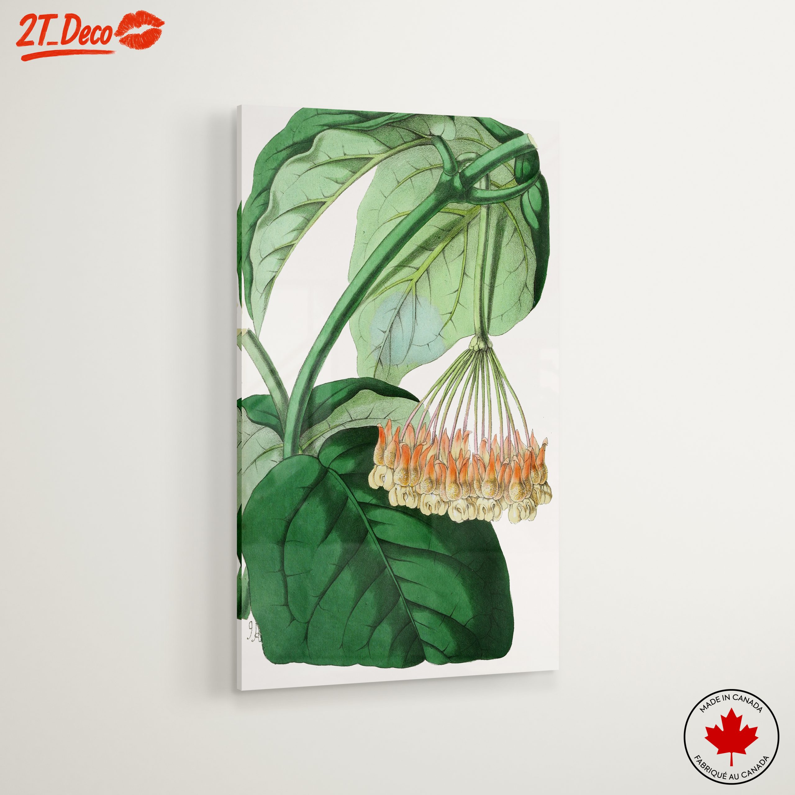 Intricate Botanical Illustration of Leaves and Flowers - Image 6
