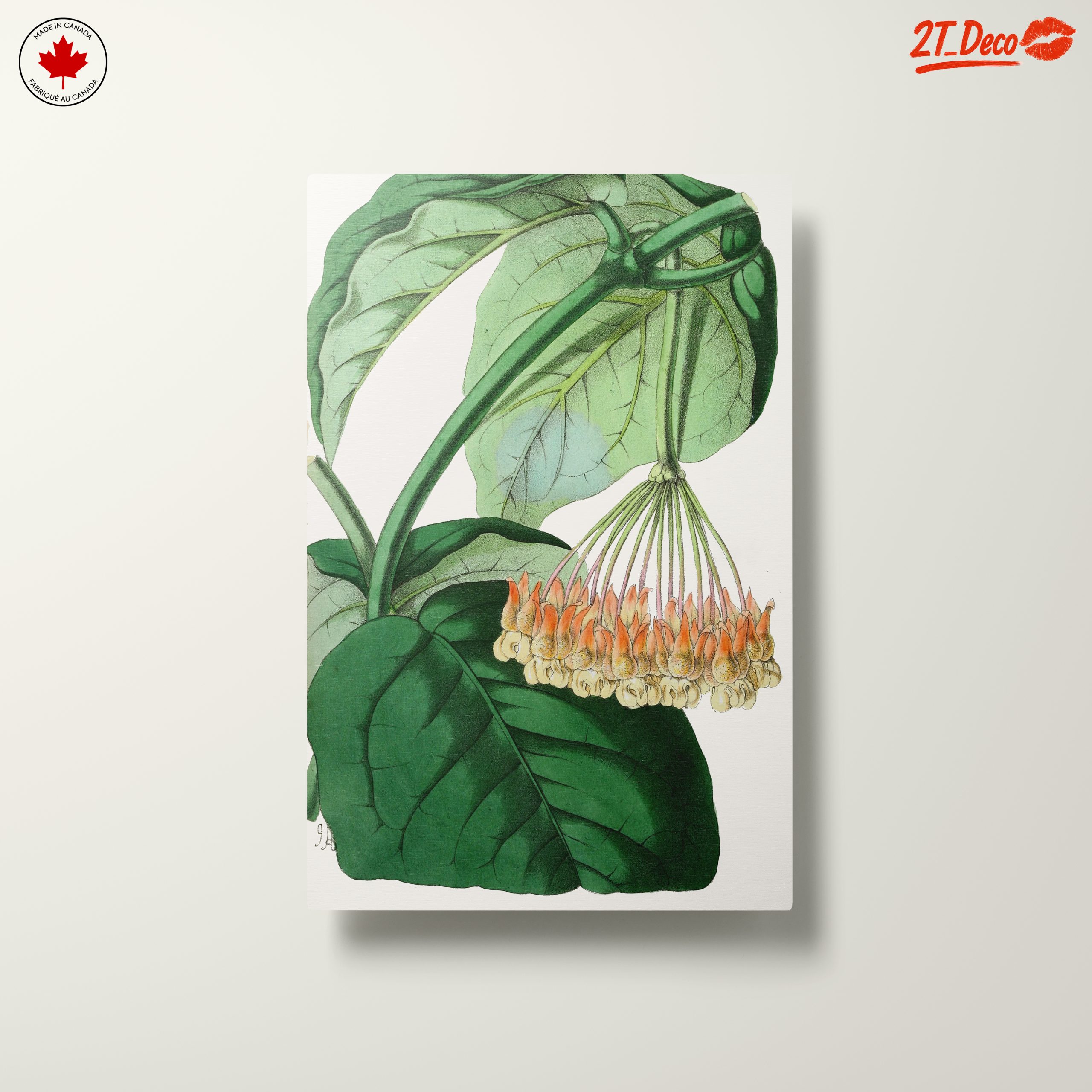 Intricate Botanical Illustration of Leaves and Flowers - Image 10