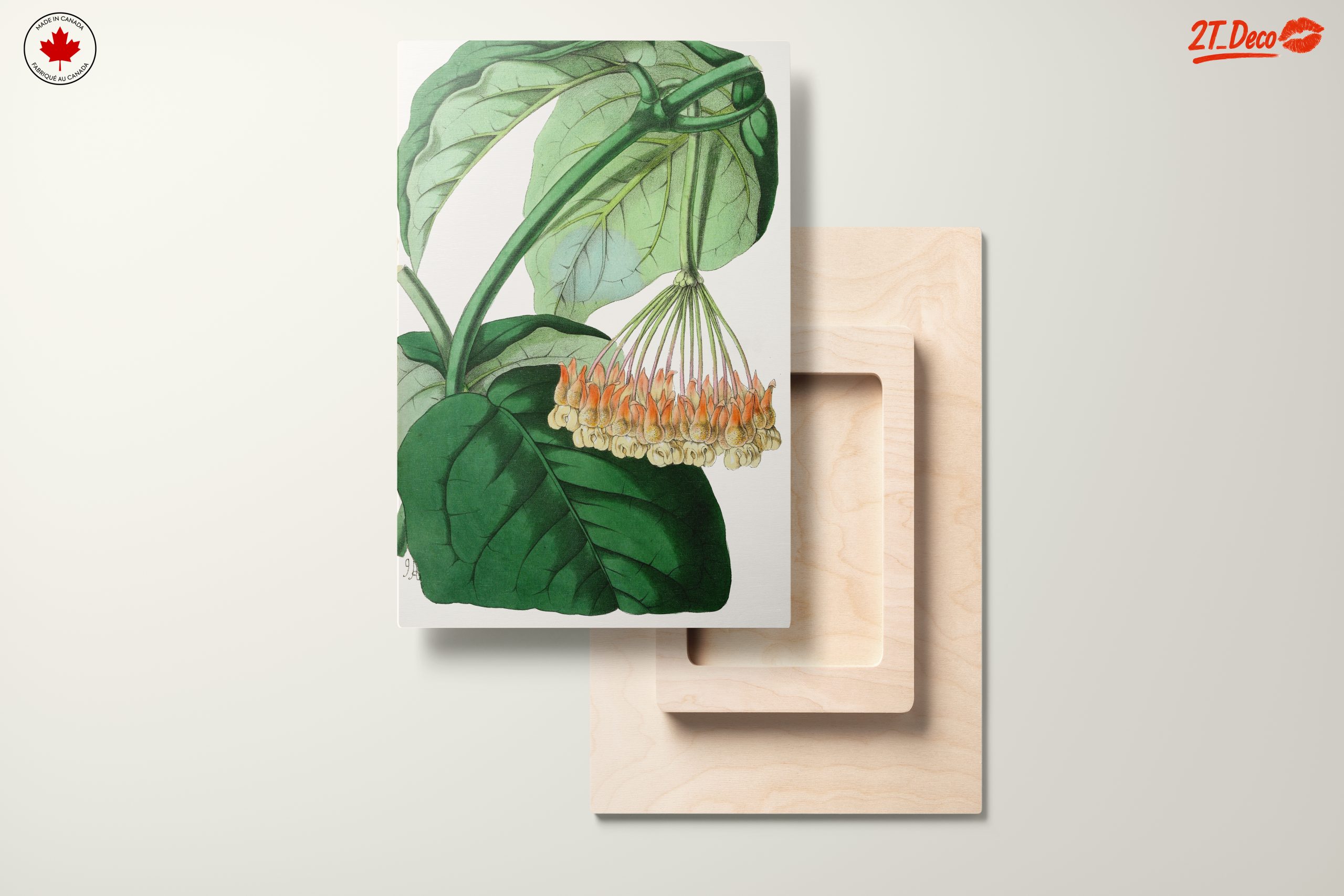 Intricate Botanical Illustration of Leaves and Flowers - Image 11