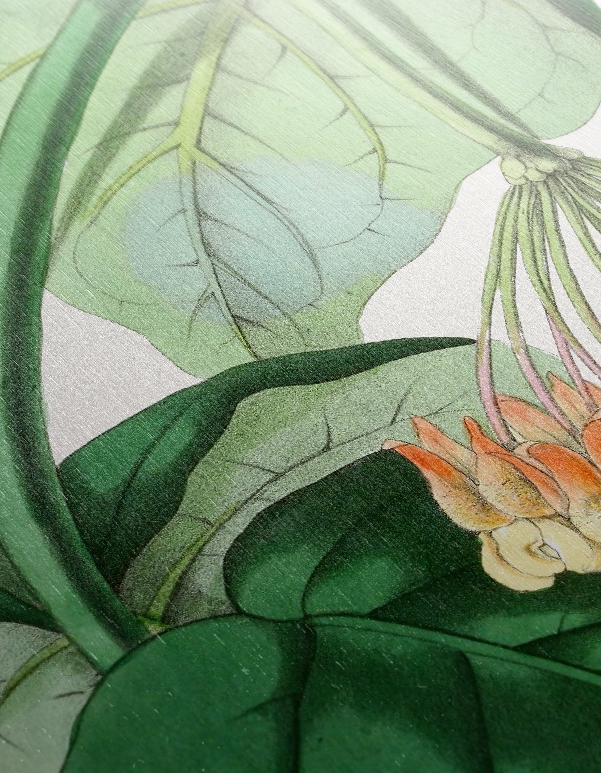 Intricate Botanical Illustration of Leaves and Flowers - Image 12